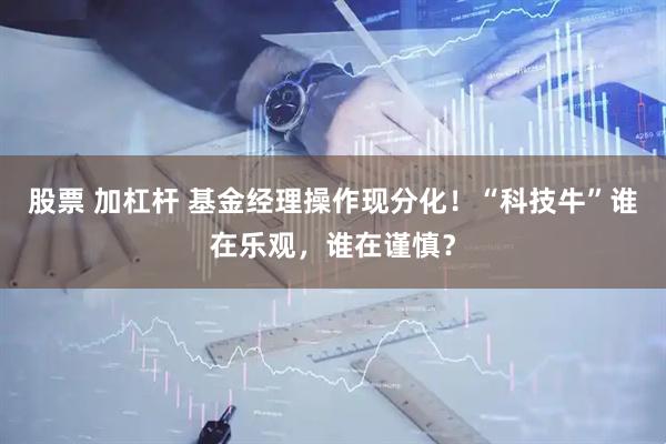 股票 加杠杆 基金经理操作现分化！“科技牛”谁在乐观，谁在谨慎？