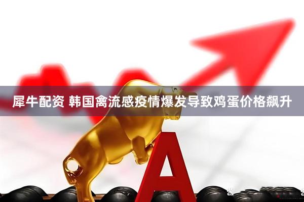 犀牛配资 韩国禽流感疫情爆发导致鸡蛋价格飙升