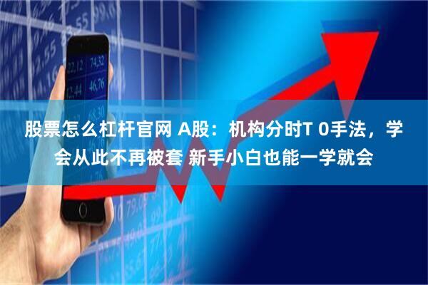 股票怎么杠杆官网 A股：机构分时T 0手法，学会从此不再被套 新手小白也能一学就会