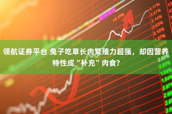 领航证券平台 兔子吃草长肉繁殖力超强，却因营养特性成“补充”肉食?