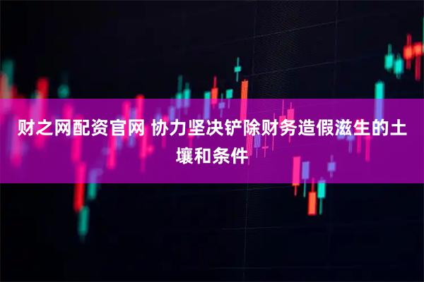 财之网配资官网 协力坚决铲除财务造假滋生的土壤和条件